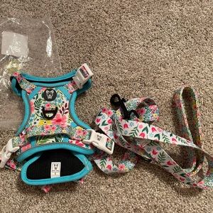 Beast & Buckle No Pull Harness Bundle